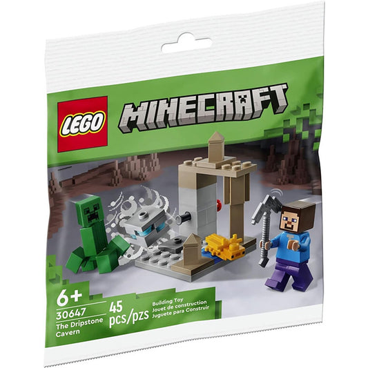 Lego Minecraft The Dripstone Cavern with Steve and Creeper packaging